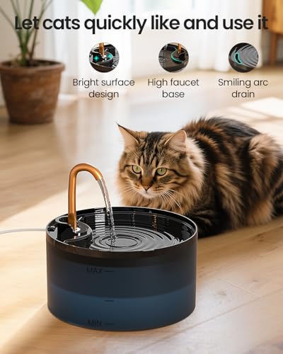 Cat Water Fountain with 3 (74 Fl Oz)
