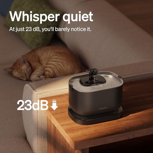 Cat Water Fountain