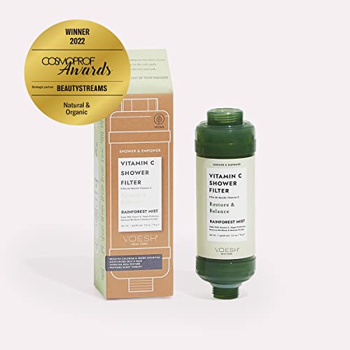 Vitamin C Shower Filter (2 Count)
