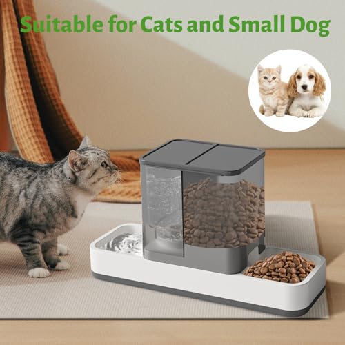 Automatic Small Pet Feeder and Water Dispenser