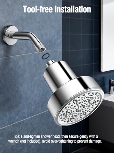 Filtered Shower Head with Filters