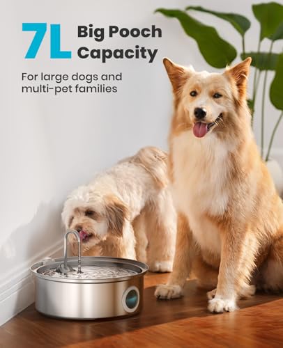7L 230oz Dog Water Fountain for Multi