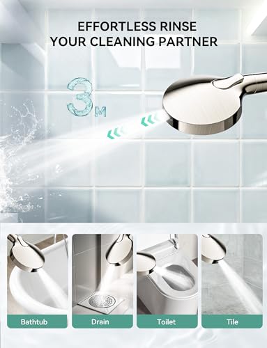 Shower Head with Handheld