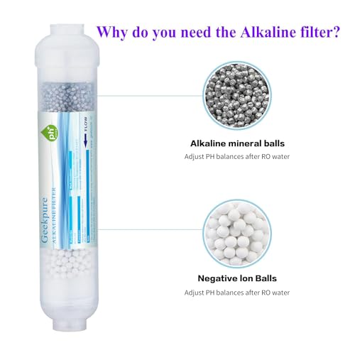 10 inch Alkaline pH+ Water Filter 1 (2 Count)