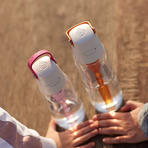 Filtered Water Bottle with Straw 24 oz