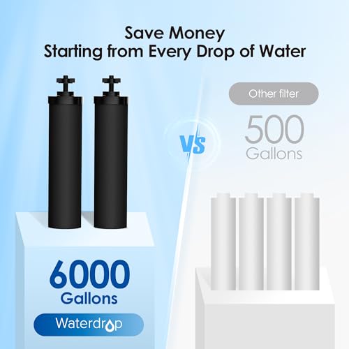 Gravity Water Filter (2 Count)