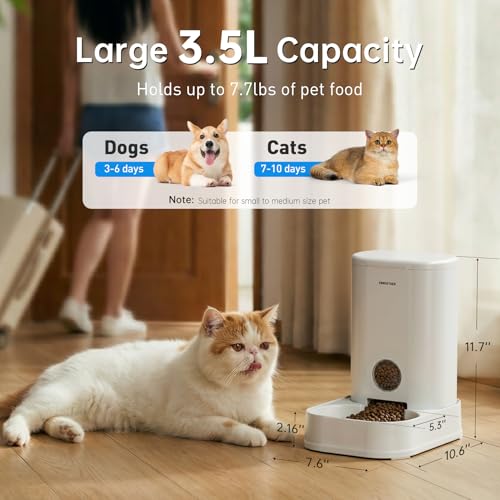 Gravity Cat Feeder
