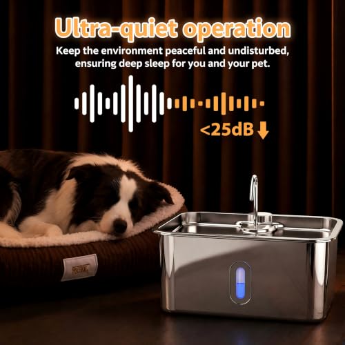 Dog Water Fountion for Large Dogs (50 Pound)