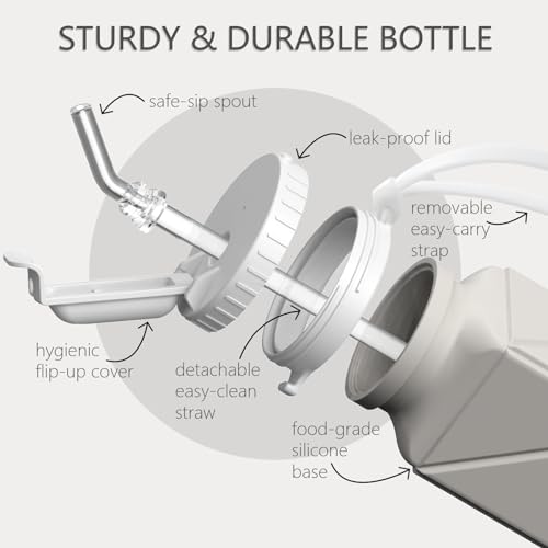 Collapsible Water Bottles 2 Pack (2 Count)
