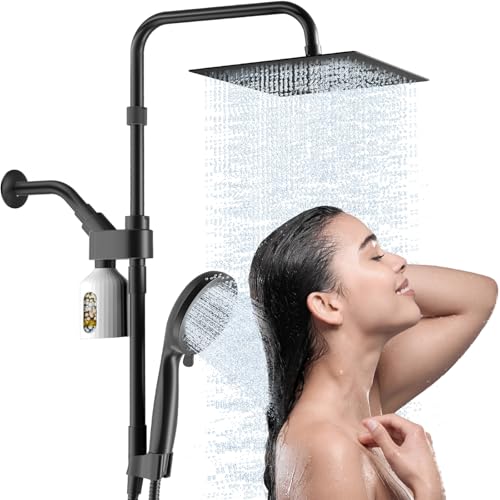 Black Filtered Rainfall Shower Head with Handheld
