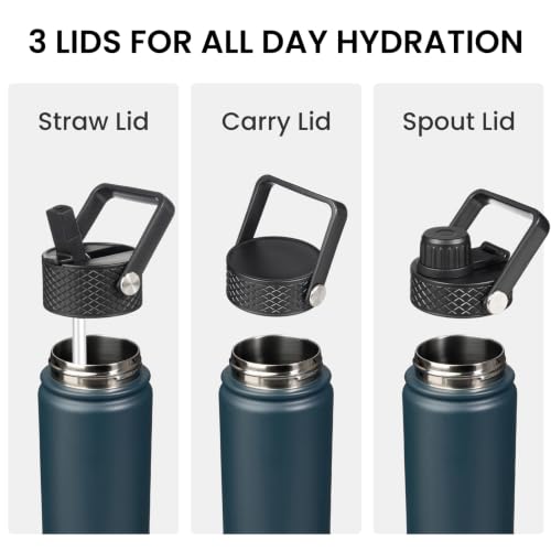 18 oz Insulated Stainless Steel Water Bottle with Straw Lid