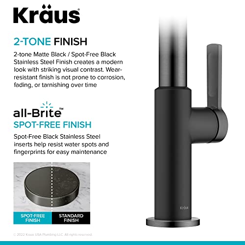 Oletto Single Handle Kitchen Bar Faucet in Matte Black