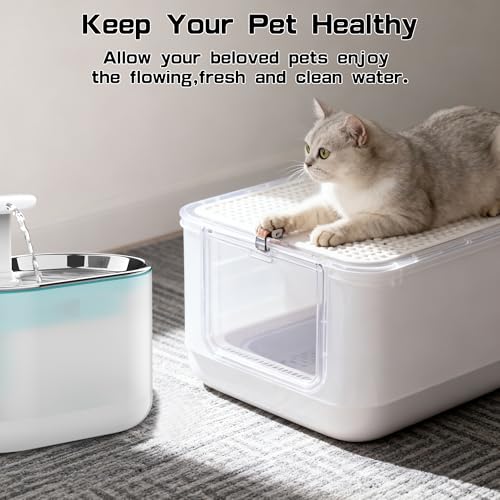 Cat Water Fountain Filters