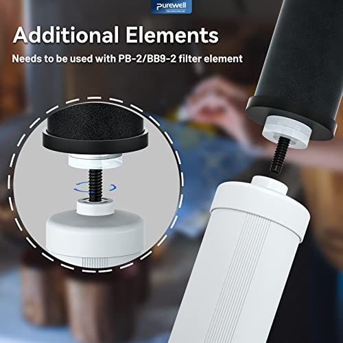 PF 2 Fluoride Purification Elements (2 Count)
