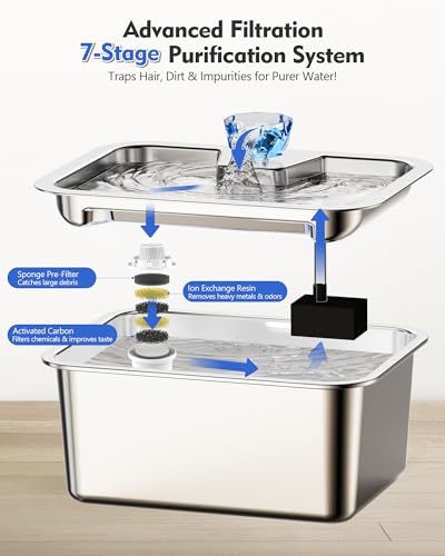 3 Gallon Stainless Steel Dog Water Fountain