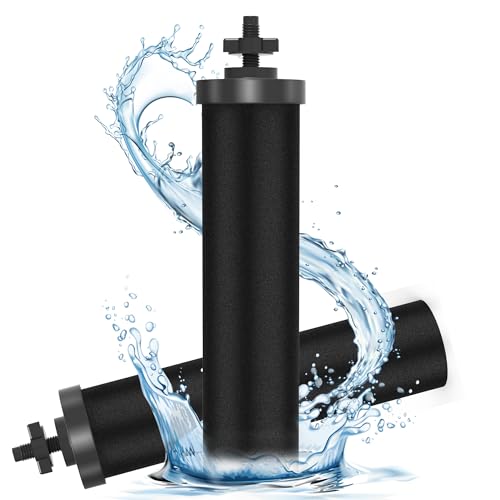NSF ANSI 42&372 Certified Water Filter (2 Count)