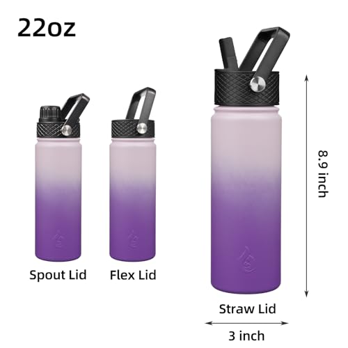 22oz Insulated Water Bottle with Straw Lid