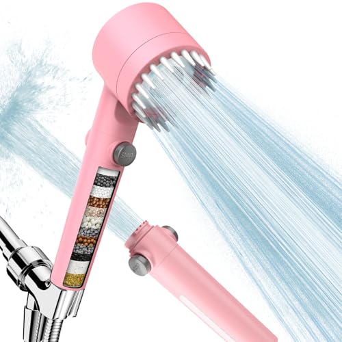 Filtered Shower Head with Handheld