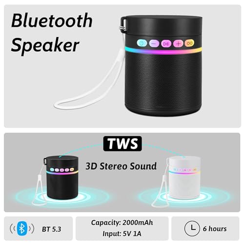Stainless Steel Water Bottle with Portable Bluetooth Speaker TWS