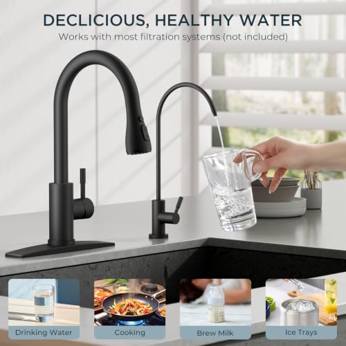 Pull Down Kitchen Faucet and Water Filter Faucet