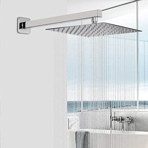 Shower Head with Extension Arm