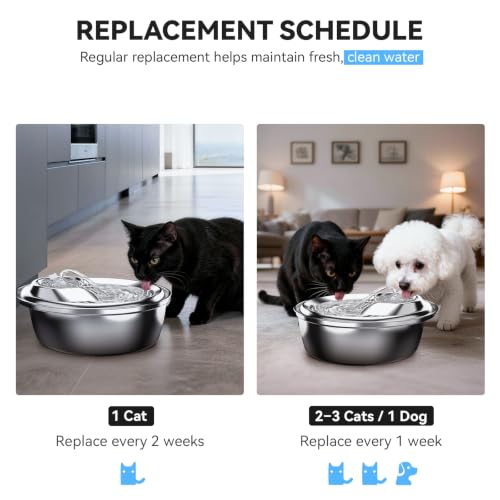 Cat Water Fountain Filters (6 Count)