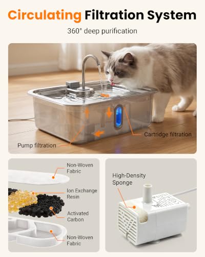 3.17Gal 12L Large Dog Water Fountain Elevated Dog Bowls with 3 Filters (405.82 Fl Oz)