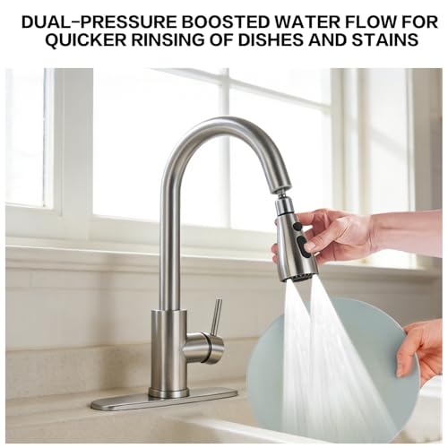 Kitchen Faucet with Pull Down Sprayer