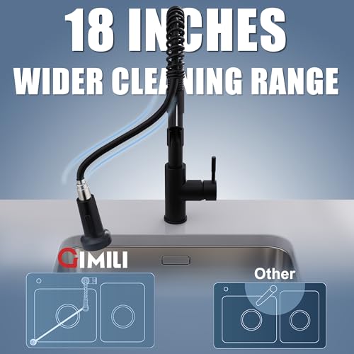Black Kitchen Faucet with Pull Down Sprayer