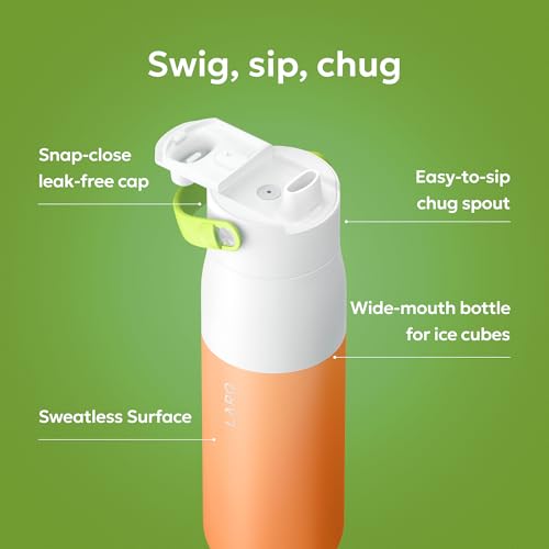 Swig Top Insulated Stainless Steel Water Bottle with Straw and Handle