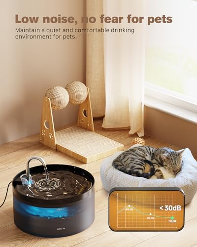 Cat Water Fountain