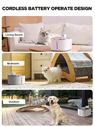 Cordless Cat Water Fountain Battery Operated
