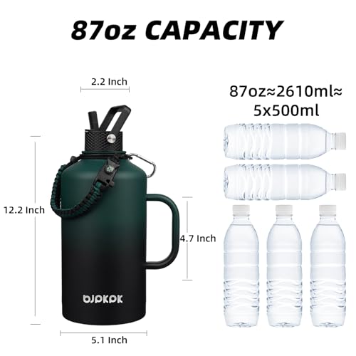 87oz Insulated Water Bottle with Straw Lid Stainless Steel Water Jug