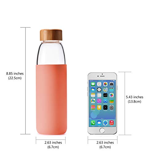 18 Oz Borosilicate Glass Water Bottles with Bamboo Lid