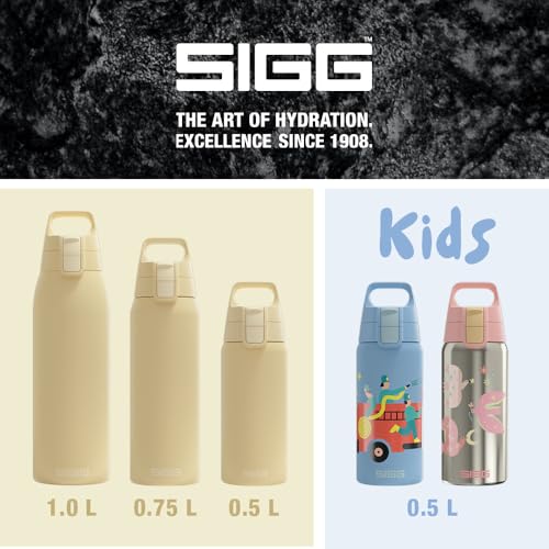 Insulated Kids Water Bottle
