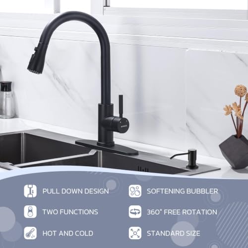 Kitchen Faucet with Soap Dispenser