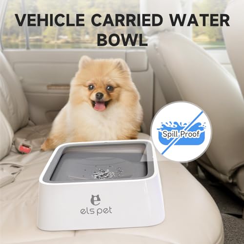 Grey 70oz 2L No Spill Dog Cat Bowl Carbon Filter Water Dispenser