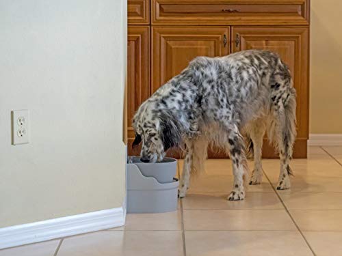 Automatic Pet Water Bowl