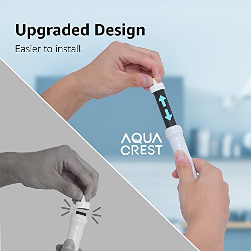 Water Bottle Filter (5 Count)