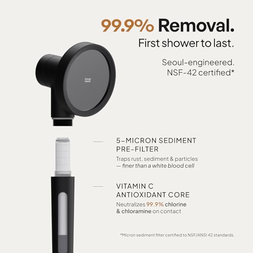 SecondShower Filtered Shower Head with Handheld for Hard Water