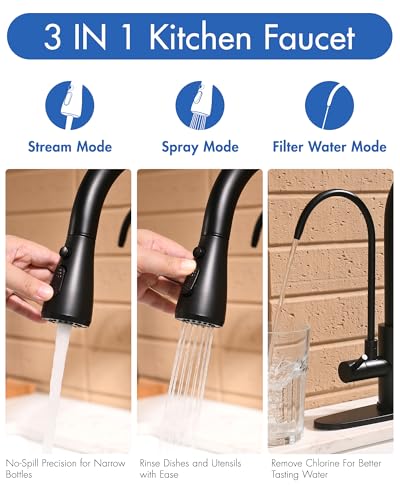 3 in 1 Black Kitchen Faucet with Pull Down Sprayer and Water Filter