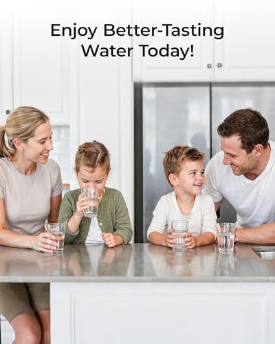 2TSPP TSCT Undersink Replacement Water Filter for TSU & TSU (3 Count)