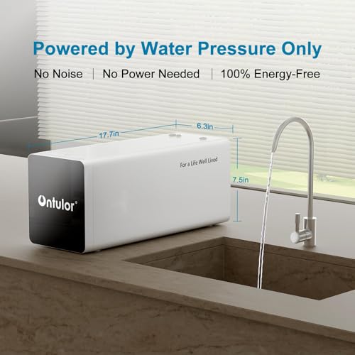 Reverse Osmosis Water Filter