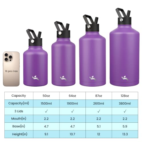 87 oz Insulated Stainless Steel Water Bottle Jug with Handle