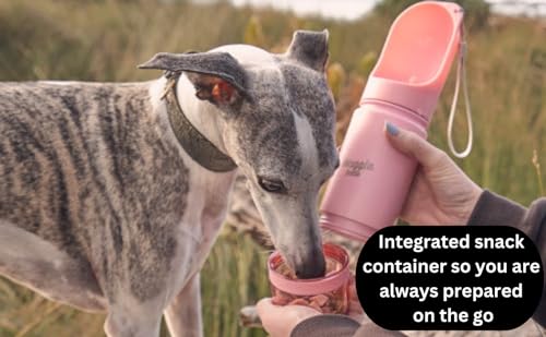 Stainless Steel Dog Travel Water Bottle (14 Fl Oz)
