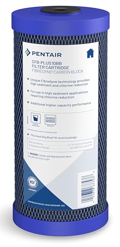 Pentair Pentek CFB
