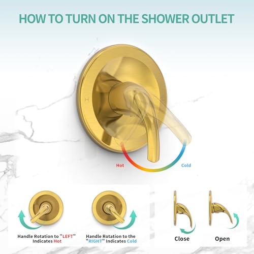 Dual 2 in 1 Shower System with Handheld