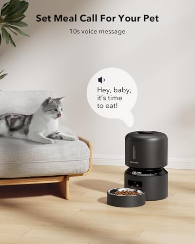 Automatic Cat Feeder