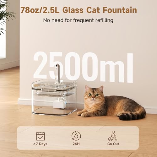 Glass Cat Water Fountain