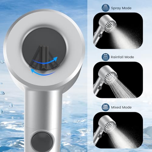 Filtered Shower Head with Handheld